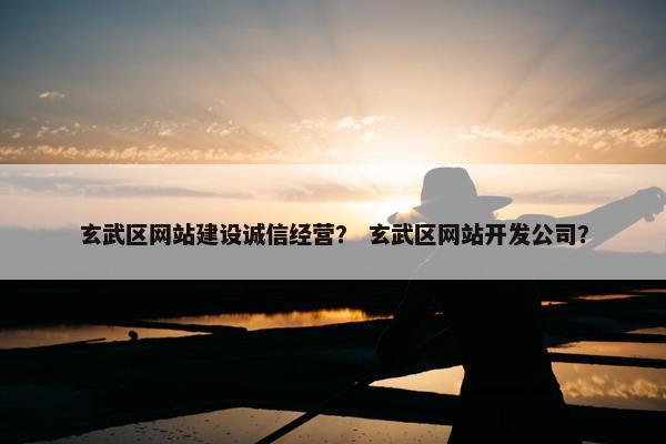 玄武区网站建设诚信经营？ 玄武区网站开发公司？