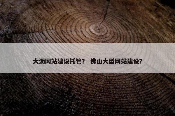 大沥网站建设托管？ 佛山大型网站建设？