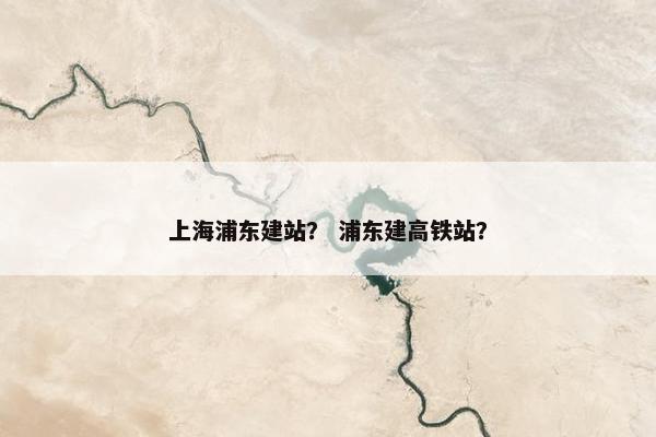 上海浦东建站？ 浦东建高铁站？