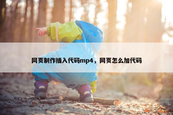 网页制作插入代码mp4，网页怎么加代码