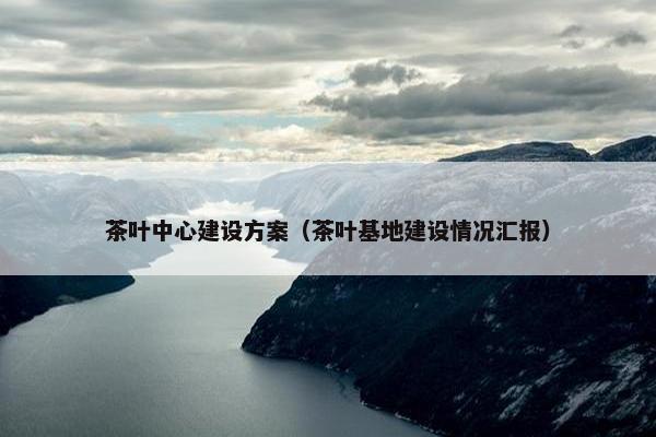 茶叶中心建设方案（茶叶基地建设情况汇报）