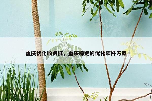 重庆优化收费低，重庆稳定的优化软件方案