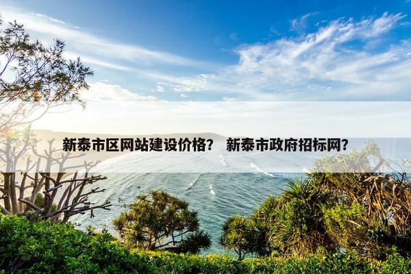 新泰市区网站建设价格？ 新泰市政府招标网？