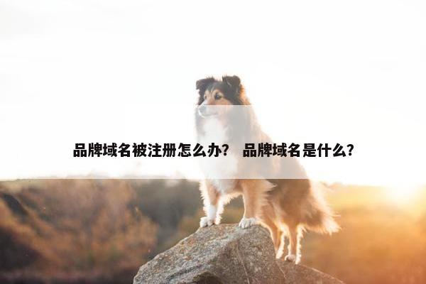 品牌域名被注册怎么办？ 品牌域名是什么？