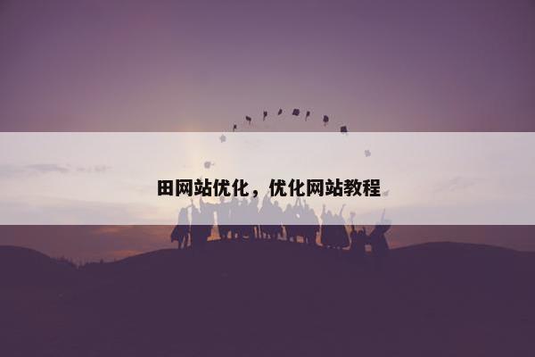 田网站优化，优化网站教程