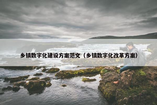 乡镇数字化建设方案范文（乡镇数字化改革方案）