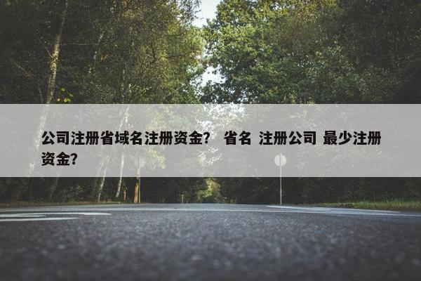 公司注册省域名注册资金？ 省名 注册公司 最少注册资金？