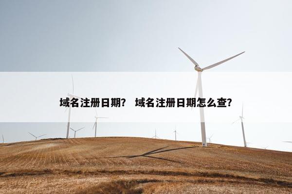 域名注册日期？ 域名注册日期怎么查？