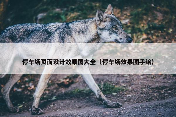 停车场页面设计效果图大全（停车场效果图手绘）