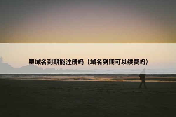 里域名到期能注册吗（域名到期可以续费吗）