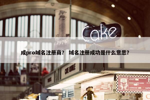成pro域名注册商？ 域名注册成功是什么意思？