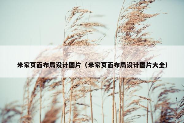 米家页面布局设计图片（米家页面布局设计图片大全）