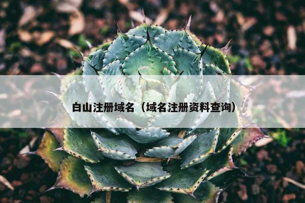 白山注册域名（域名注册资料查询）