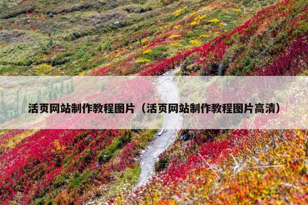 活页网站制作教程图片（活页网站制作教程图片高清）