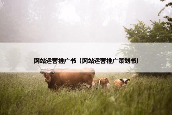 网站运营推广书（网站运营推广策划书）