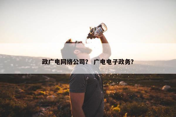 政广电网络公司？ 广电电子政务？
