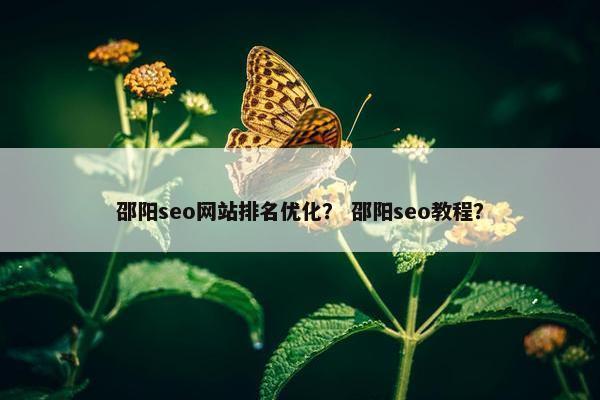 邵阳seo网站排名优化？ 邵阳seo教程？