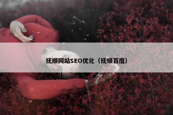 抚顺网站SEO优化（抚顺百度）