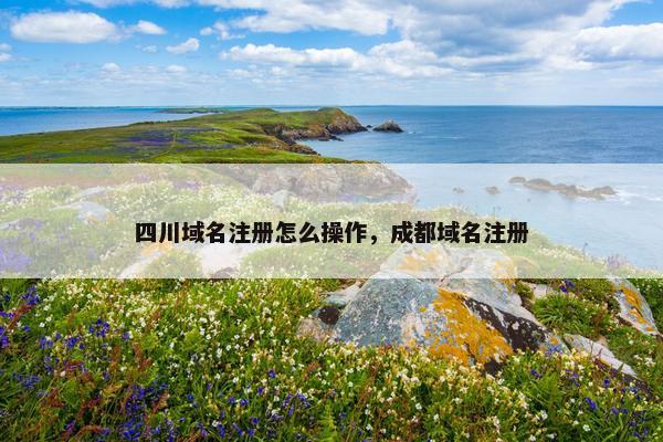 四川域名注册怎么操作，成都域名注册