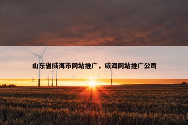 山东省威海市网站推广，威海网站推广公司