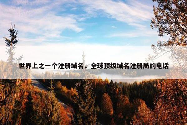 世界上之一个注册域名，全球顶级域名注册局的电话