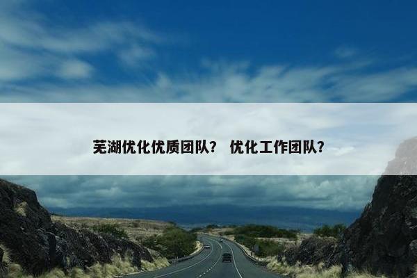 芜湖优化优质团队？ 优化工作团队？