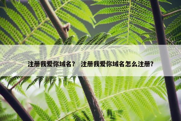 注册我爱你域名？ 注册我爱你域名怎么注册？