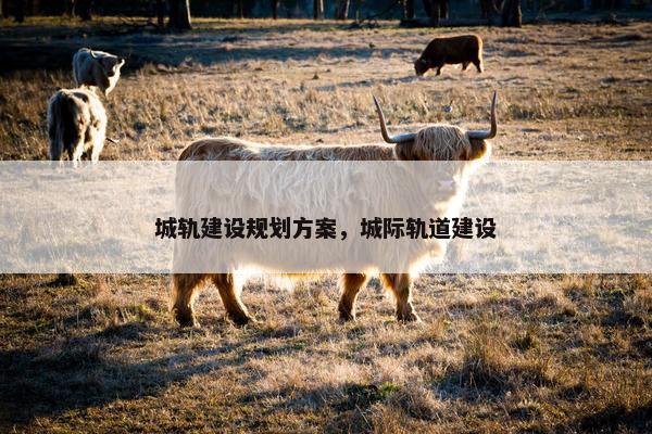 城轨建设规划方案，城际轨道建设