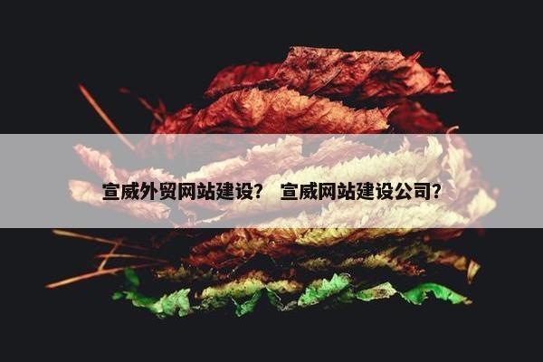 宣威外贸网站建设？ 宣威网站建设公司？