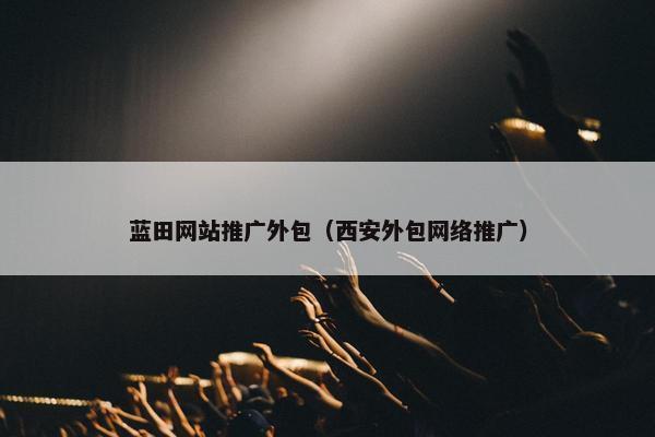 蓝田网站推广外包（西安外包网络推广）