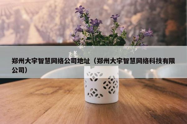 郑州大宇智慧网络公司地址（郑州大宇智慧网络科技有限公司）