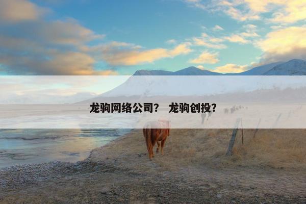 龙驹网络公司？ 龙驹创投？