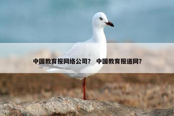 中国教育报网络公司？ 中国教育报道网？