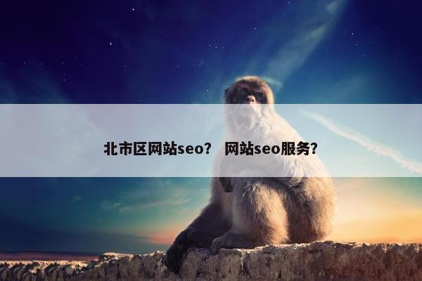 北市区网站seo？ 网站seo服务？