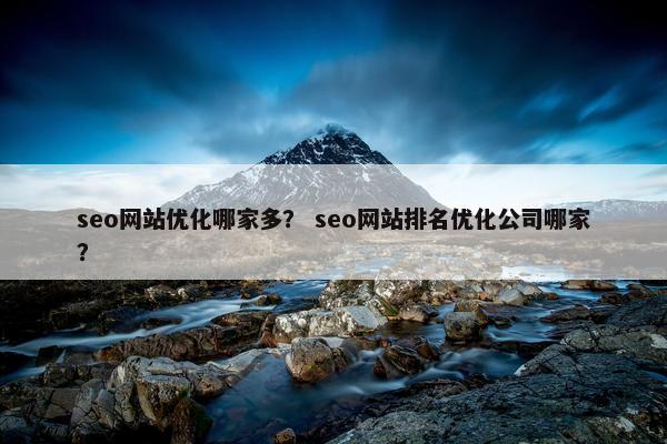seo网站优化哪家多？ seo网站排名优化公司哪家？