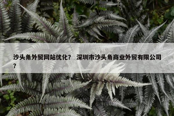 沙头角外贸网站优化？ 深圳市沙头角商业外贸有限公司？