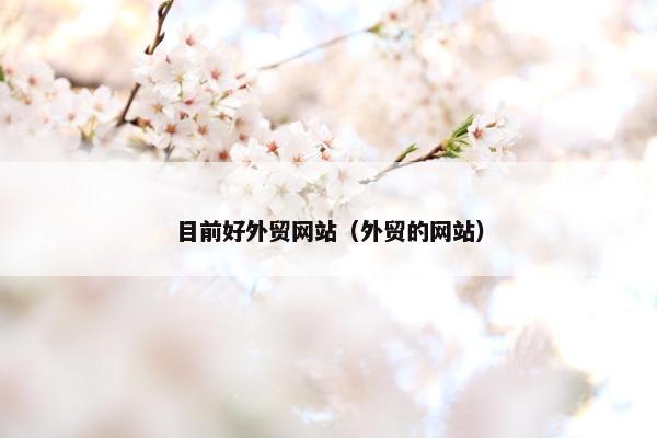 目前好外贸网站（外贸的网站）