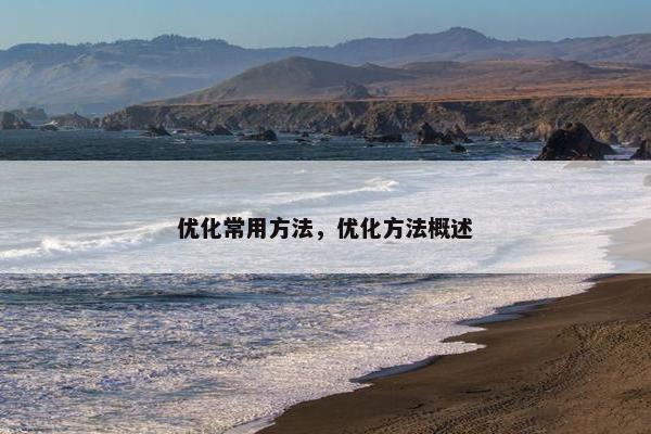 优化常用方法，优化方法概述