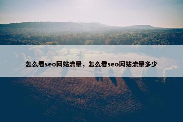 怎么看seo网站流量，怎么看seo网站流量多少