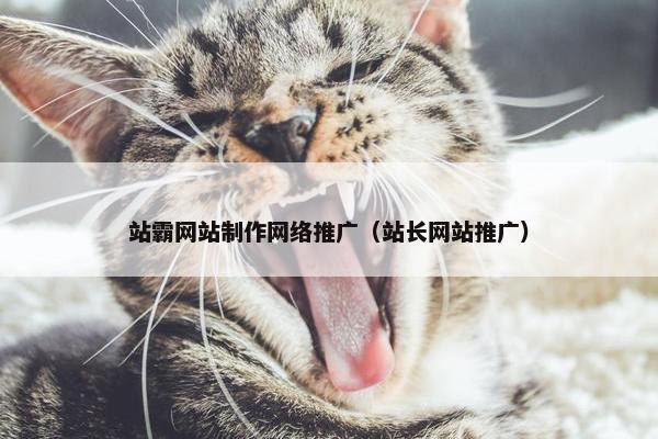 站霸网站制作网络推广（站长网站推广）