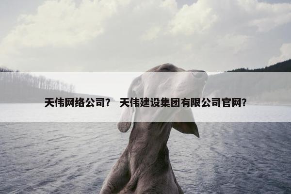 天伟网络公司？ 天伟建设集团有限公司官网？
