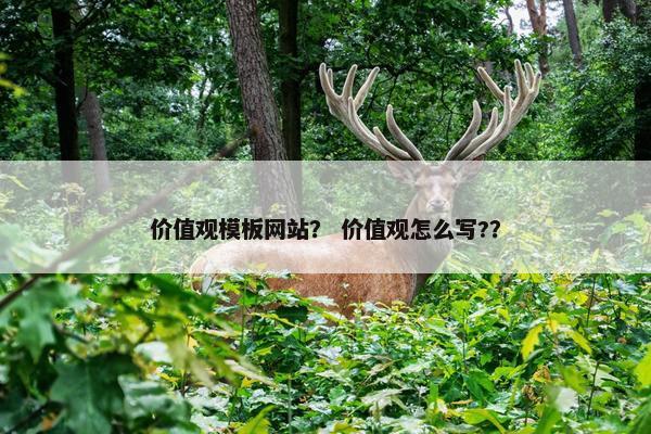 价值观模板网站？ 价值观怎么写?？