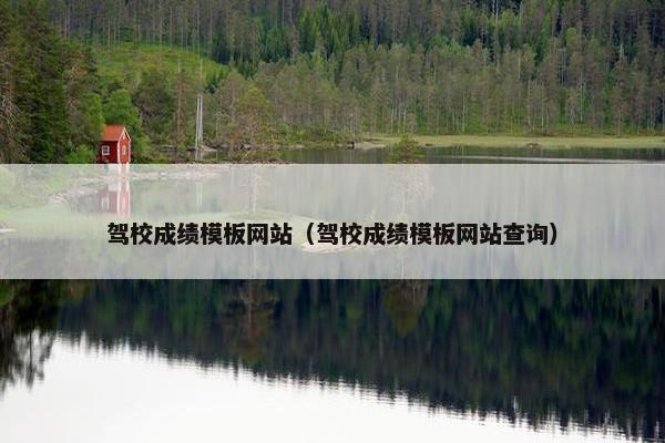 驾校成绩模板网站（驾校成绩模板网站查询）