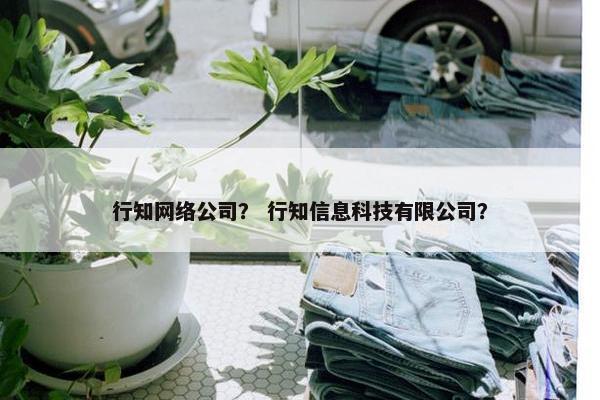 行知网络公司？ 行知信息科技有限公司？