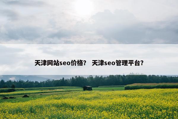 天津网站seo价格？ 天津seo管理平台？