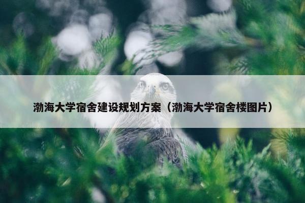 渤海大学宿舍建设规划方案（渤海大学宿舍楼图片）