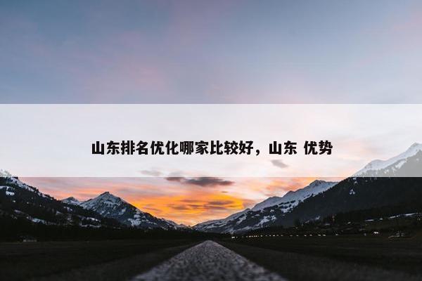 山东排名优化哪家比较好，山东 优势