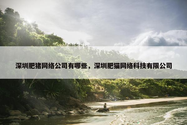 深圳肥猪网络公司有哪些，深圳肥猫网络科技有限公司