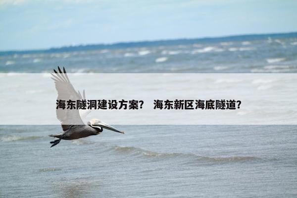 海东隧洞建设方案？ 海东新区海底隧道？