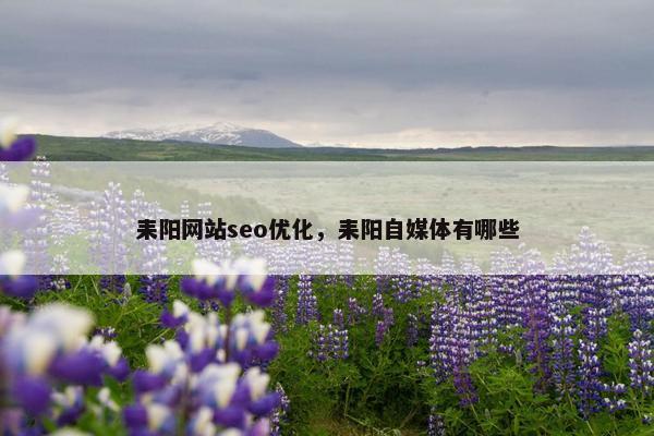 耒阳网站seo优化，耒阳自媒体有哪些